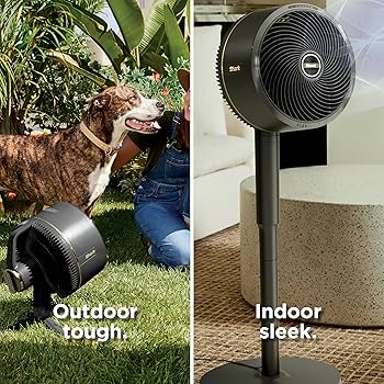 Amazon.com: Shark FlexBreeze Fan - Indoor & outdoor